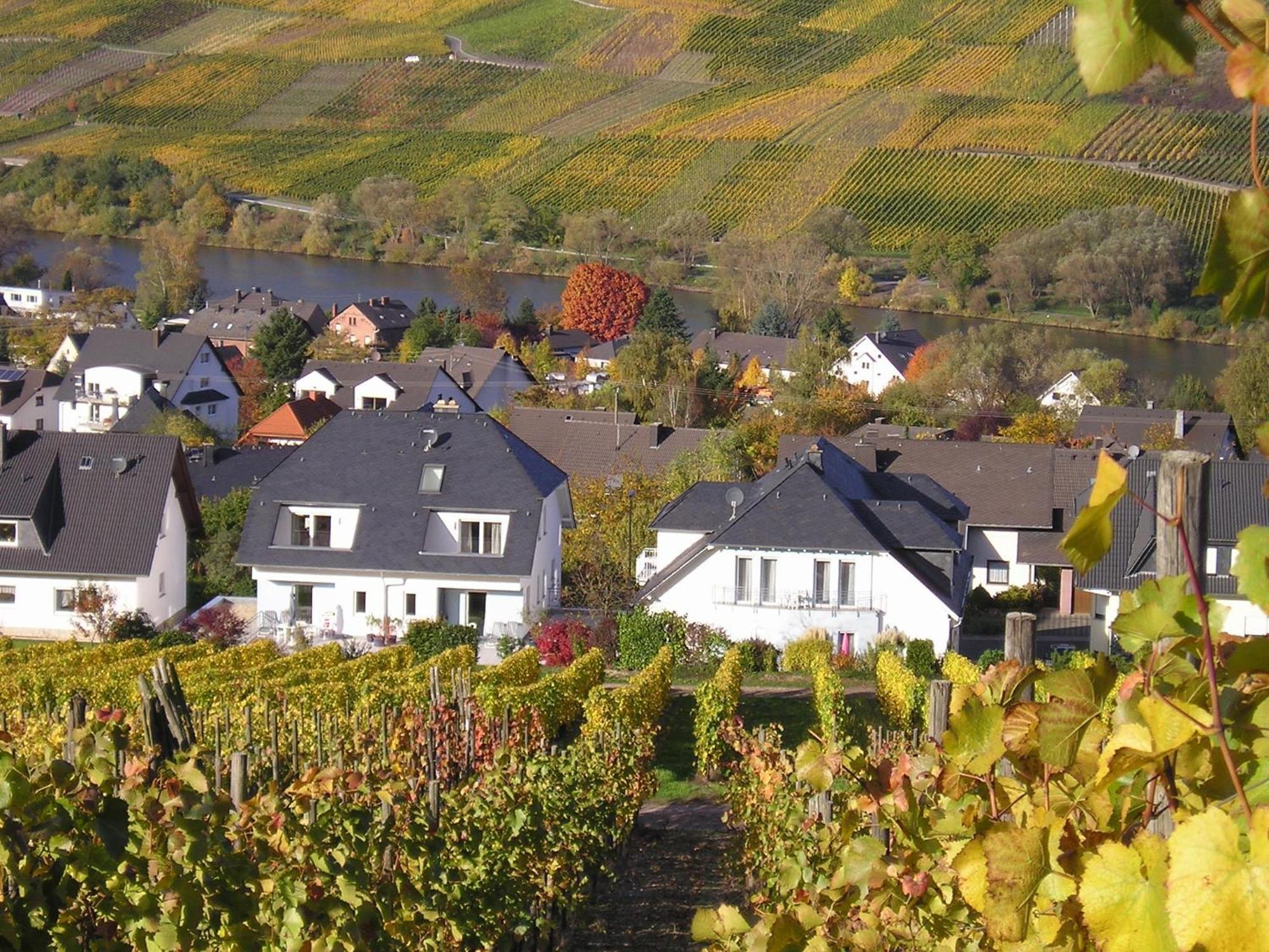 Roussel - Hotel Restaurant Bernkastel-Kues Exteriér fotografie